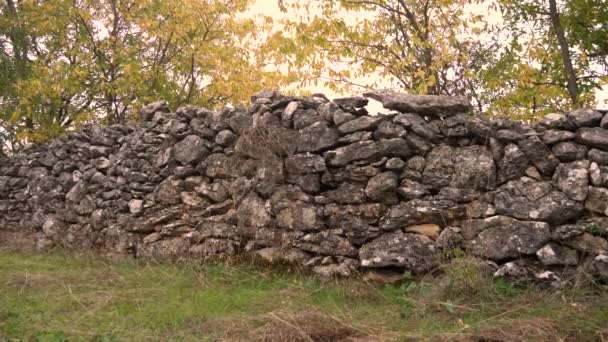 Campagna Vecchio Muro Pietra Nella Foresta Colori Autunno — Video Stock