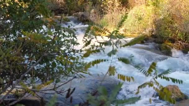 Fluxo Rio Montanha Frio Pequeno Aldeia Rio Fresco Montanha Câmera — Vídeo de Stock