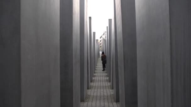 Imágenes Cámara Lenta Personas Caminando Dentro Del Memorial Del Holocausto — Vídeos de Stock