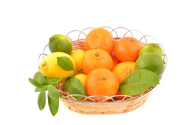 Citrusfrukter Korg Isolerad Vit Bakgrund — Stockfoto