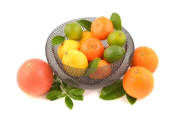 Citrus Fruit Mand Geïsoleerd Witte Achtergrond — Stockfoto