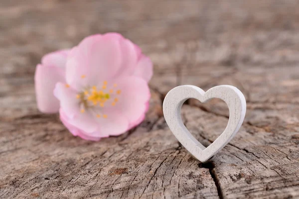 バレンタインの日カード 古い木製の背景に心 桜の花 ホリデー カード — ストック写真
