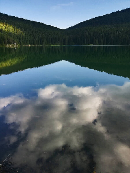 Forest and clouds reflection in the lake water at Durmitor National Park, Montenegro