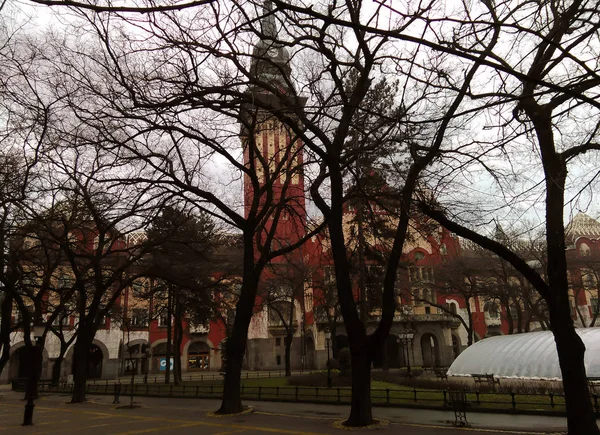 Subotica Belediye Binası, görünümü yalak ahşap dallar Park