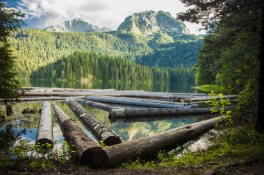 Kristal Yeşil Göl su üzerinde yüzen ahşap grup Greaqt ayı (Veliki medved) dağın tepesinde, Zabljak, Karadağ feryat.
