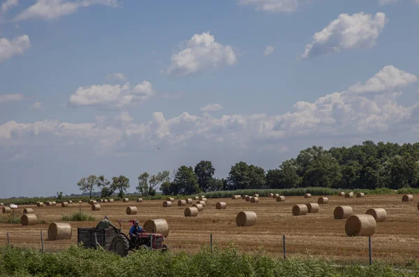 Hasattan sonra sahada saman balyaları körüklü bulutlu mavi gökyüzü. Tarım salonları. 