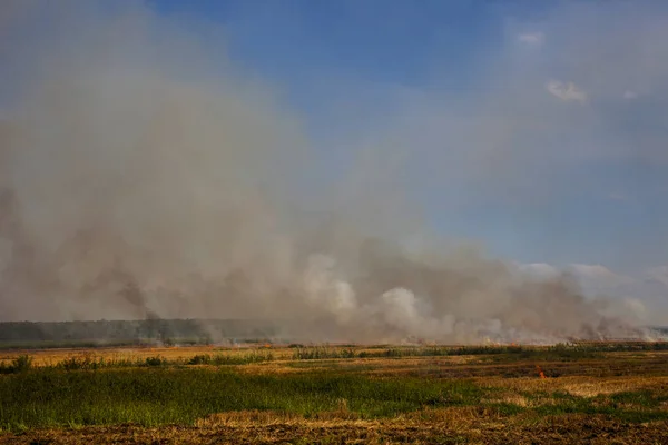 Hasat tan sonra tarlada yangın ve duman