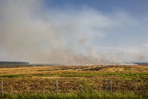 Hasat tan sonra tarlada yangın ve duman