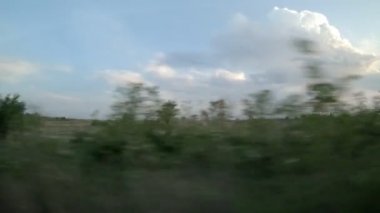 Trenin penceresi görünümü