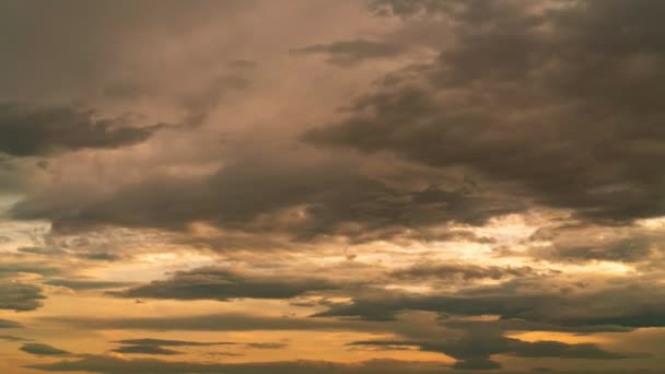 Fensterblick Vom Zug Aus — Stockvideo