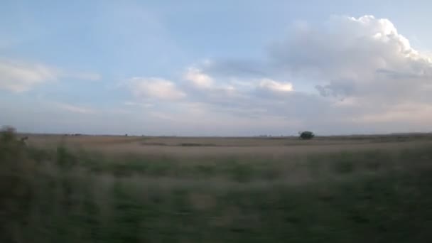 Okně Pohled Vlaku — Stock video