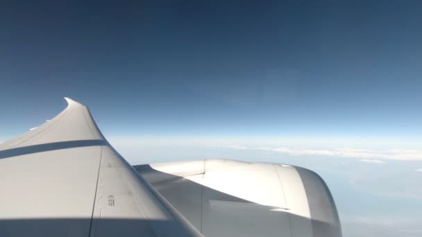 Fensterblick Aus Dem Flugzeug — Stockvideo