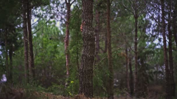 Funny Young Man Apparaît Magiquement Lentement Derrière Arbre Dans Forêt — Video