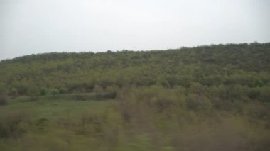 Trenin penceresi görünümü