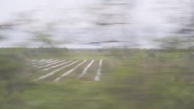 Trenin penceresi görünümü