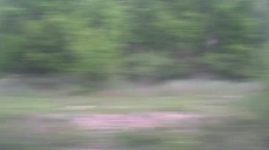 Trenin penceresi görünümü