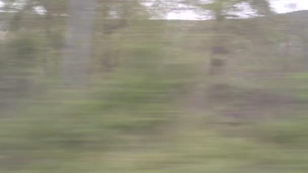 Fensterblick Vom Zug Aus — Stockvideo