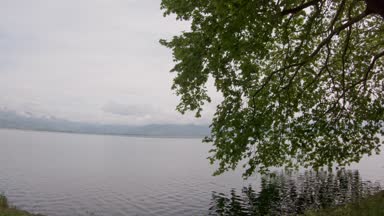 Bir göl, atış, kamera stabilizasyon araç tarafından bir güzel ülke yolda araba ya da bisiklet sürmek