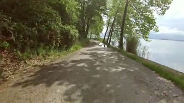 Carro Passeio Bicicleta Uma Bela Estrada Rural Perto Lago Tiro — Vídeo de Stock