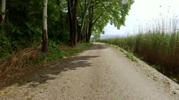 Carro Passeio Bicicleta Uma Bela Estrada Rural Perto Lago Tiro — Vídeo de Stock