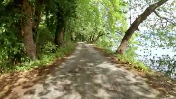 Carro Passeio Bicicleta Uma Bela Estrada Rural Perto Lago Tiro — Vídeo de Stock