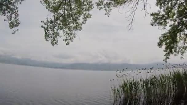 Paseo Coche Bicicleta Por Hermoso Camino Rural Junto Lago Disparo — Vídeos de Stock