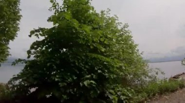 Bir göl, atış, kamera stabilizasyon araç tarafından bir güzel ülke yolda araba ya da bisiklet sürmek