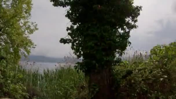 Paseo Coche Bicicleta Por Hermoso Camino Rural Junto Lago Disparo — Vídeo de stock