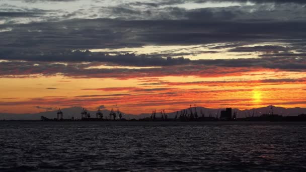 Beautiful Colors Tranquil Sunset Ocean Industrial Scene Cranes Silhouettes — Stock Video