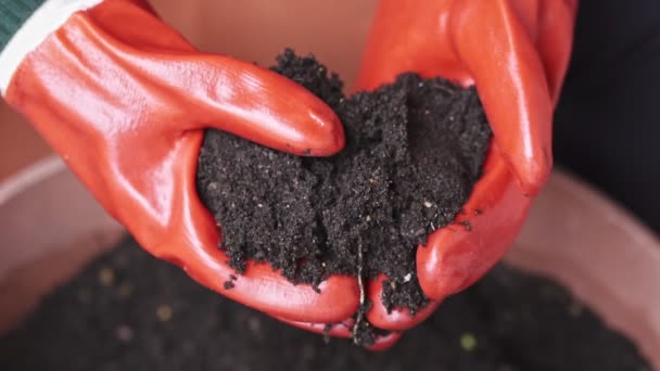 Hands Wearing Orange Gloves Holding Soil Slow Motion Shot — Stock Video