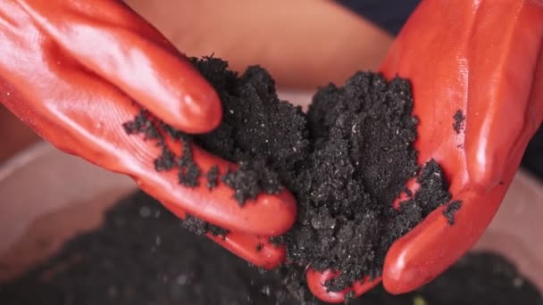 Toprak Tutan Portakal Eldivenleri Takan Eller Yavaş Çekim — Stok video
