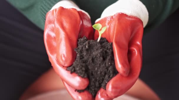 Manos Con Guantes Anaranjados Sosteniendo Tierra Con Dos Hojas Pequeñas — Vídeo de stock