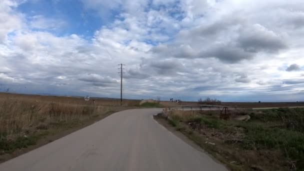 Fahren Auf Einer Landstraße Späten Nachmittag 25Fps Video — Stockvideo