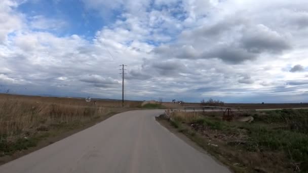 Rijden Een Landelijke Weg Late Namiddag 25Fps Video — Stockvideo