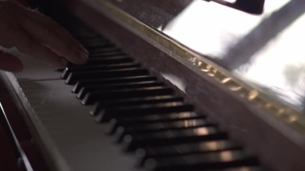 Muzikant Speelt Piano Slow Motion Video Een Kamer Met Natuurlijk — Stockvideo