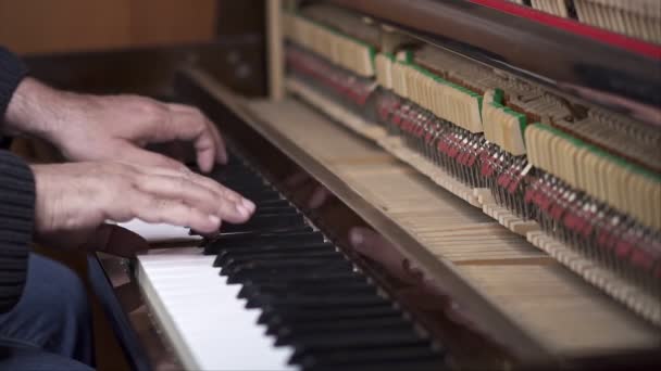 Μουσικός Παίζει Πιάνο Μέτρια Βολή Ρηχό Βάθος Γηπέδου — Αρχείο Βίντεο