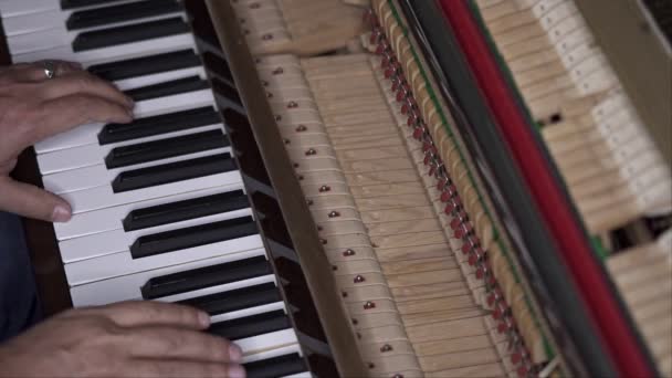 Μουσικός Παίζει Ανοιχτό Πιάνο Διαγώνια Μεσαία Βολή Ρηχό Βάθος Πεδίου — Αρχείο Βίντεο