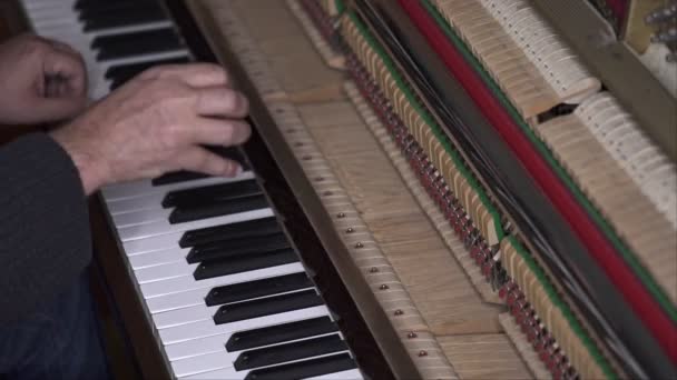 Muzikant Speelt Open Piano Diagonale Medium Schot Met Ondiepe Scherptediepte — Stockvideo