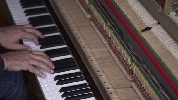 音乐家弹开钢琴 对角线中枪与浅深的场 — 图库视频影像
