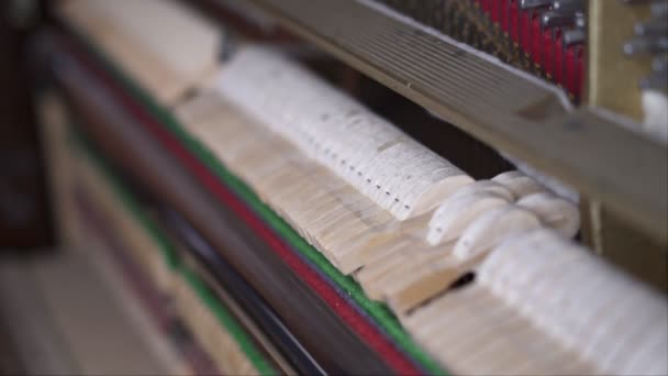 Σφυριά Πιάνου Θεατρικών Έργων Διαγώνια Μεσαία Βολή Ρηχό Βάθος Πεδίου — Αρχείο Βίντεο