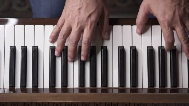 Musician Plays Piano Top View Medium Shot Shallow Depth Field — Stock Video