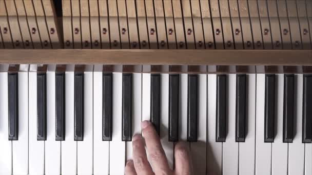 Musiker Spelar Piano Uppifrån Och Medelstora Skott Med Grunt Skärpedjup — Stockvideo