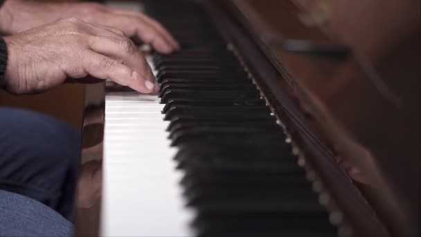 Musicien Joue Piano Ouvert Ralenti Vue Dessus Plan Moyen Avec — Video