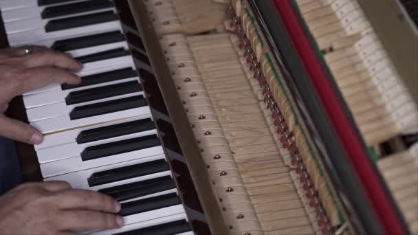 Musician Plays Open Piano Slow Motion Top View Medium Shot — Stock Video