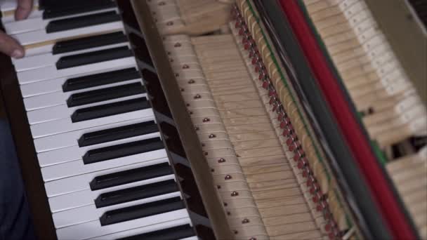 Músico Toca Piano Abierto Slow Motion Top View Tiro Medio — Vídeos de Stock