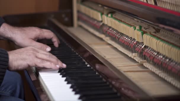 Musiker Spielt Offenes Klavier Zeitlupe Von Oben Mittlere Aufnahme Mit — Stockvideo