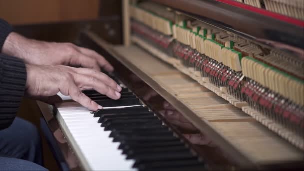 Zenész Játszik Nyílt Zongora Lassított Top View Közepes Shot Sekély — Stock videók