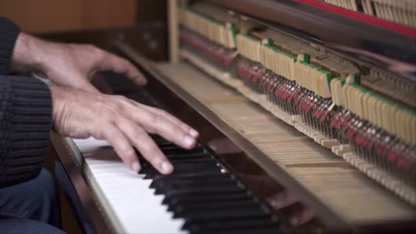 Musiker Spielt Offenes Klavier Zeitlupe Von Oben Mittlere Aufnahme Mit — Stockvideo