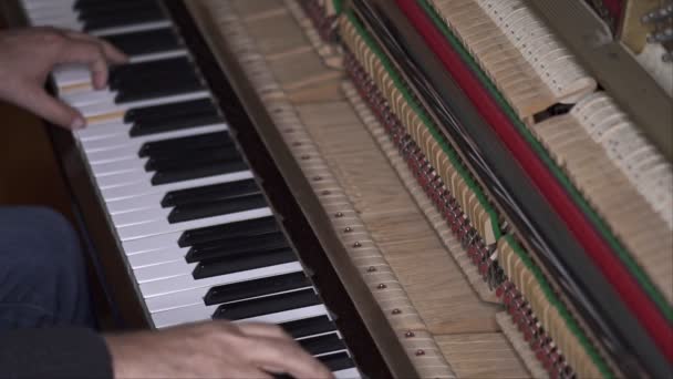 Musician Plays Open Piano Slow Motion Top View Medium Shot — Stock Video