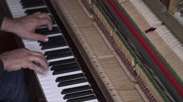 Musicista Suona Pianoforte Aperto Slow Motion Top View Colpo Medio — Video Stock